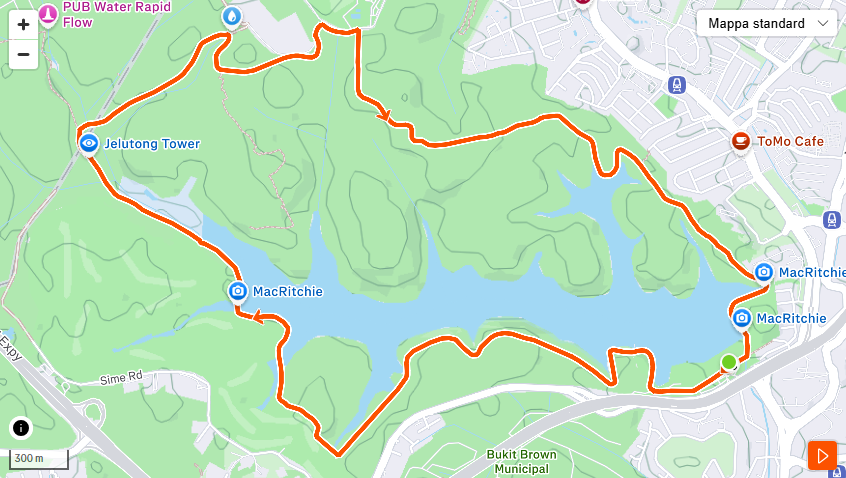 MacRitchie Reservoir Loop